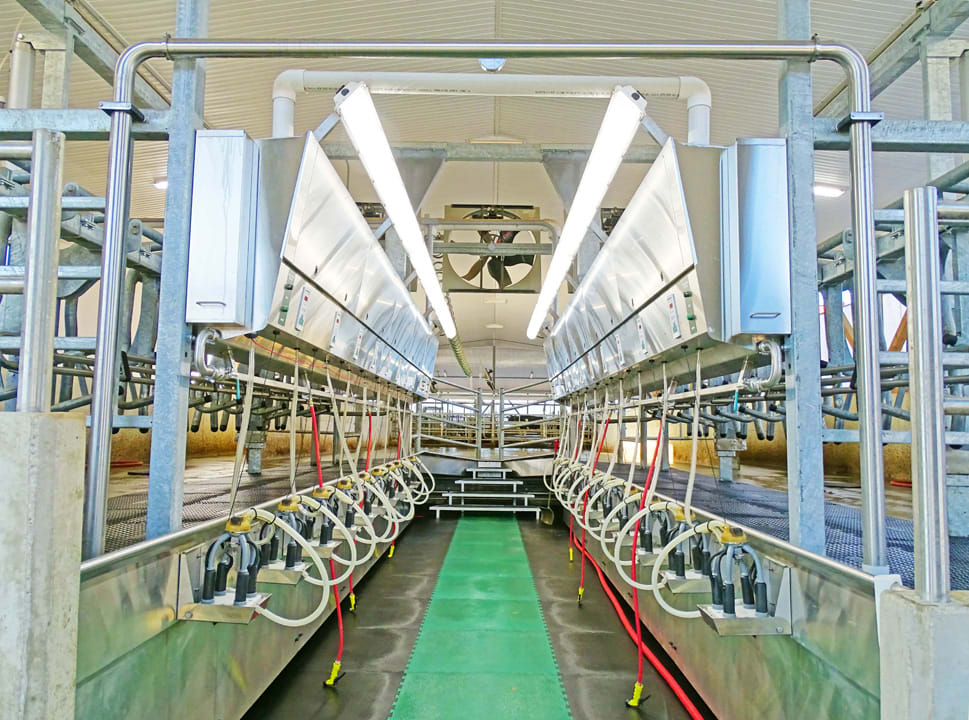 Linquenda Dairy Farms Dairy Lane Systems Milking Parlour